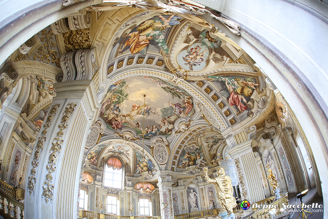 VBS_6079 - Sotto il Cervo - Palazzina di Caccia di Stupinigi.jpg